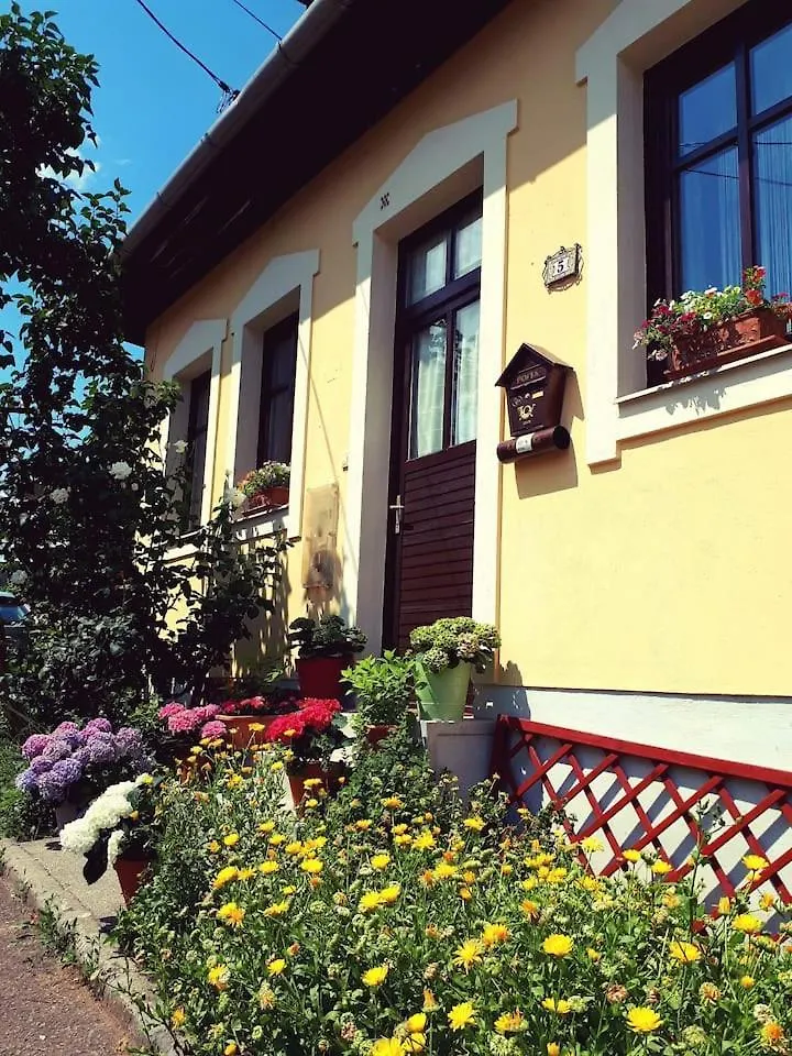Lotus Apartman Erlau Ungarn